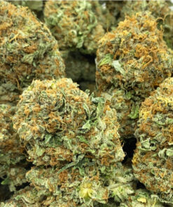 Bargain Percocet 7 5-325 Mg Online: Nightlong Delivery, No Require Of RX