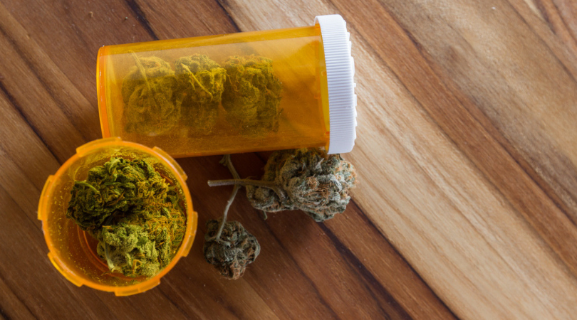 What Are the Health Benefits and Risks of Cannabis? 1 What Are the Health Benefits and Risks of Cannabis