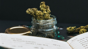 The Best Marijuana Strains for Anxiety