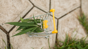 6 Misconceptions About Buying Your Weed Online