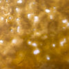 'A' Grade Shatter - Mixed 1 Mango shatter