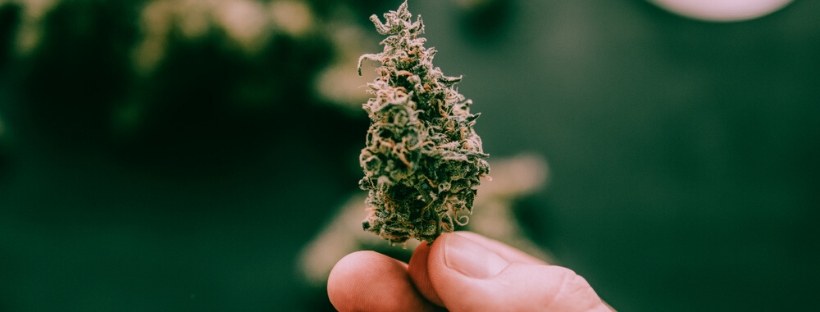 Your Goals with Cannabis