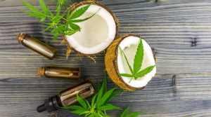 How to Make Marijuana Infused Coconut Oil