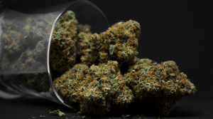 Pink Bubba Strain Review