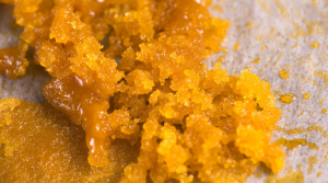 Resin vs. Live Resin vs. Rosin