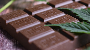 How Much THC Is in This Chocolate