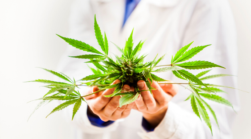 6 Best Marijuana Strains That’ll Melt Away Your Anxiety