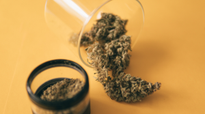 How Long Does Marijuana High Last