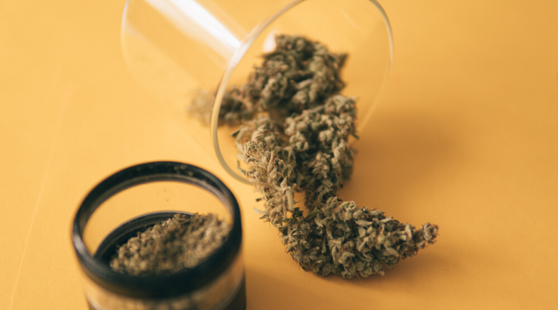 How Long Does a Marijuana High Last? - Togo Weed