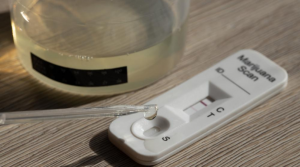 How Long Does Marijuana Stay in Your System