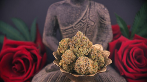 Spiritual Uses of Marijuana Throughout History