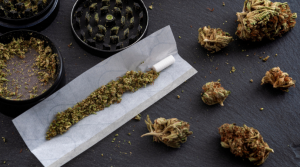 How to Smoke a Joint for the First Time