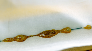 What Is Rosin and How to Use It