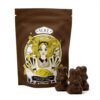 Alice Mushroom Milk Chocolates (2500mg) - Boost 2 Boost Mushroom Milk Chocolates