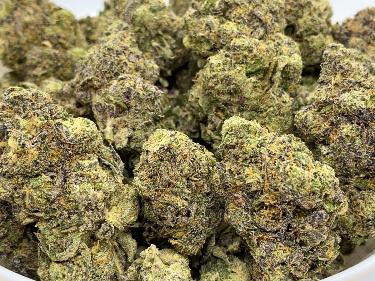 Order Gelato 33 (AAAA) PacifiCanna Online Togo Weed