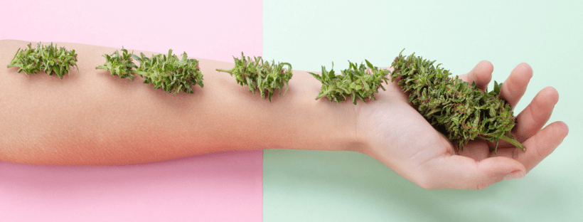 Can Marijuana Really Reduce Symptoms of Anxiety? 3 Marijuana Alters the Mind