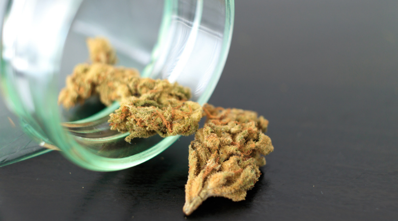10 Cheap Yet High-quality Marijuana Strains | Togoweed.com