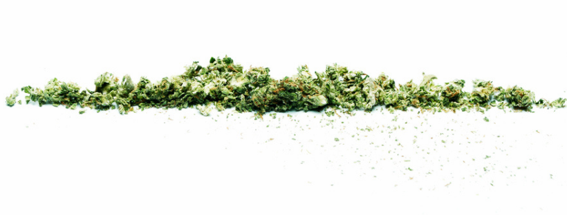 Effects of Marijuana Effects of Marijuana