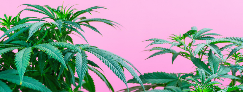 Effects on Memory Effects on Memory