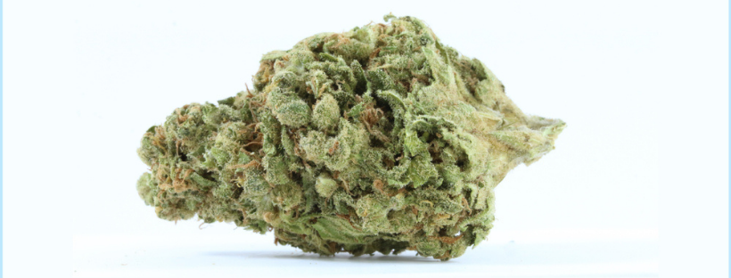 Obama Kush Obama Kush