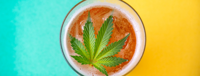 The Interaction of Cannabis and Alcohol in the Body The Interaction of Cannabis and Alcohol in the Body