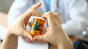 They Say Cannabis Is Bad for Your Memory