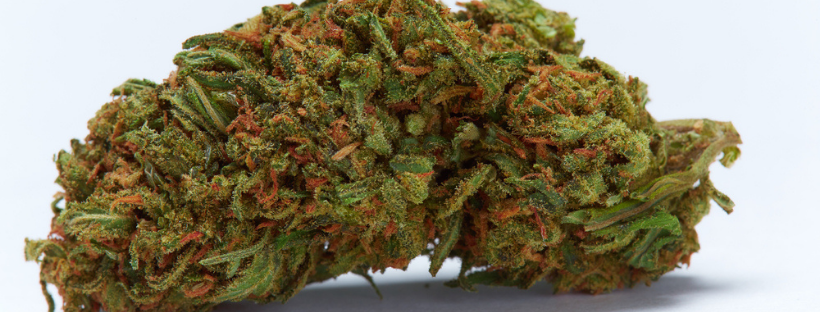 Durban Poison Durban Poison
