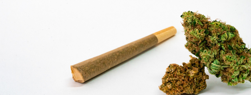 Going Beyond Cannabis Buds Going Beyond Cannabis Buds