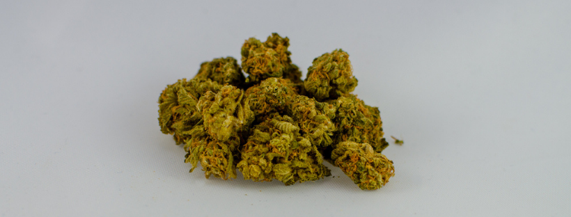 Indica Vs Sativa Marijuana Strains Indica Vs Sativa Marijuana Strains