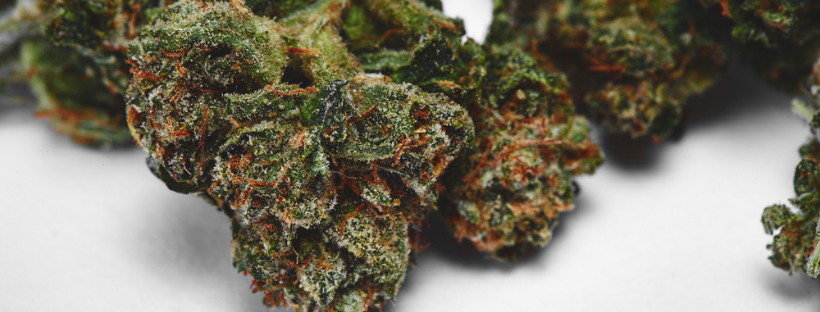 OG Kush OG Kush