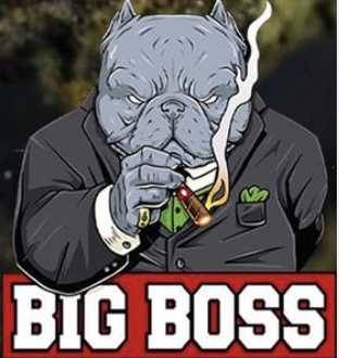 Screen Shot 2021 01 14 at 10.22.45 AM