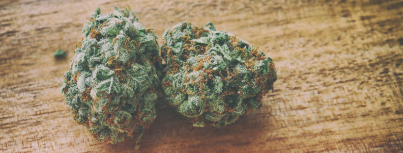 Silver Haze Silver Haze