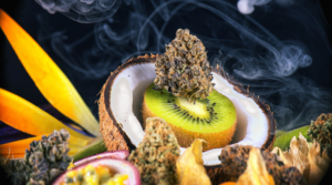 4 Cannabis Strains That Have a Tropical Taste
