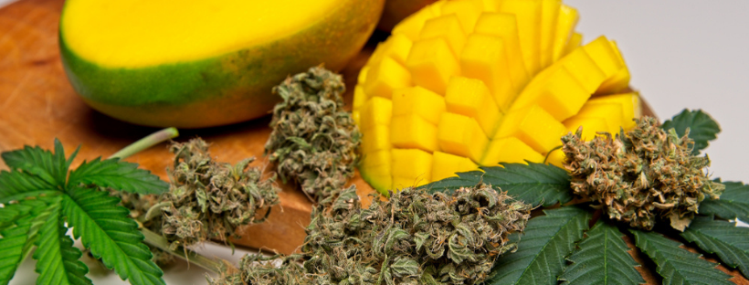 Other Citrus flavoured Cannabis Products