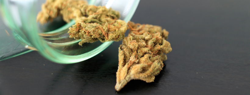 The Effects of Marijuana The Effects of Marijuana