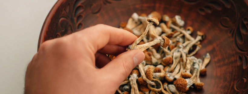 What Are the Effects of Magic Mushrooms