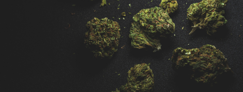 How Can I Tell if a Marijuana Strain is High energy How Can I Tell if a Marijuana Strain is High energy