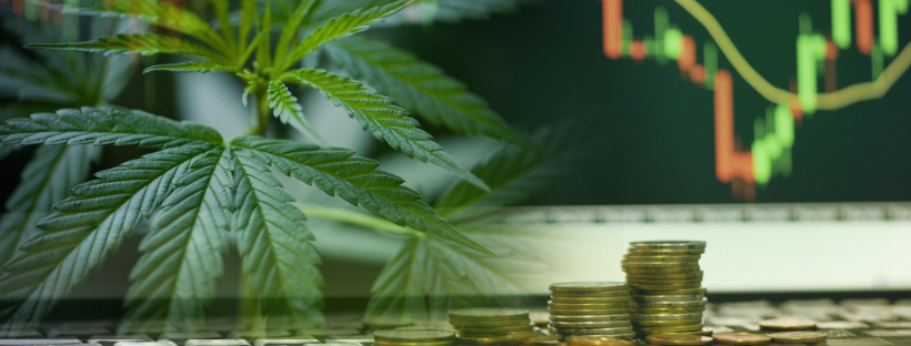 Should I Invest in Marijuana Should I Invest in Marijuana