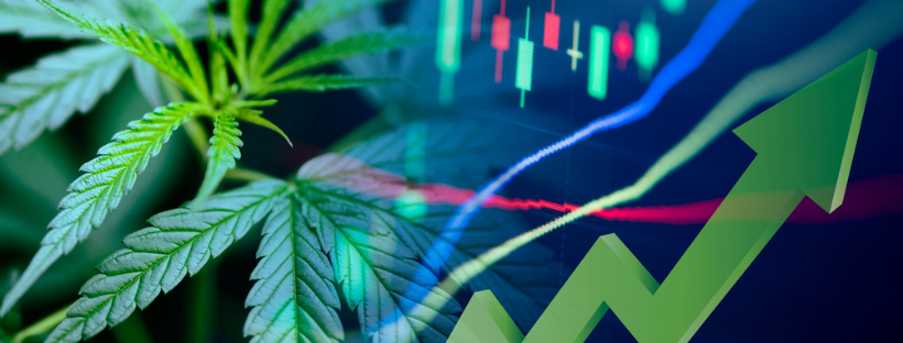 Six Marijuana Stocks to Consider in 2021 Six Marijuana Stocks to Consider in 2021