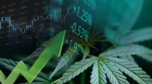 The Best Marijuana Stocks to Buy in 2021