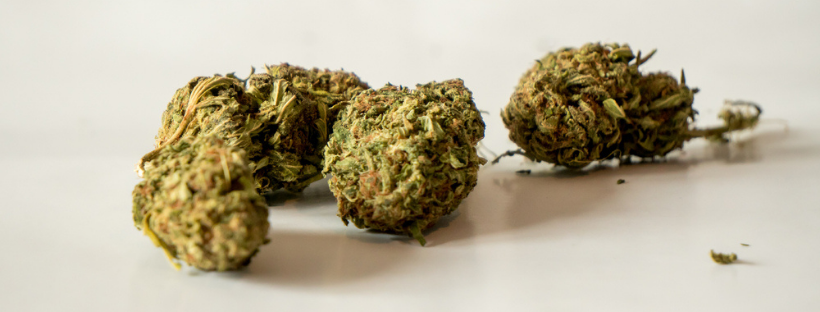 What Makes You High When Using Marijuana