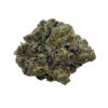 Comatose (AAAA) - Enigma Extracts 1 Comatose