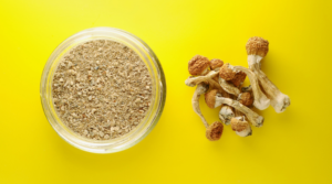 What Can You Make With Magic Mushroom Powder