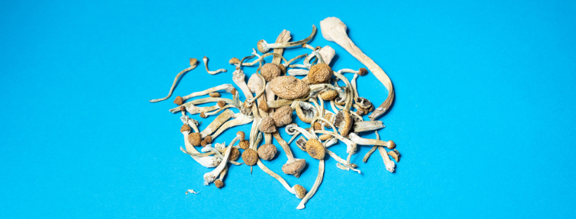 Why Use Magic Mushrooms Why Use Magic Mushrooms