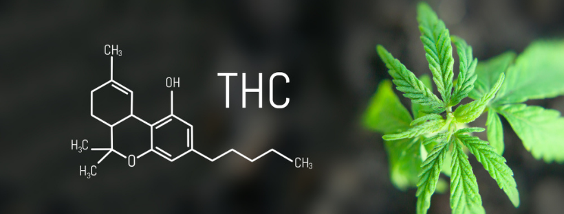 A Look at THC