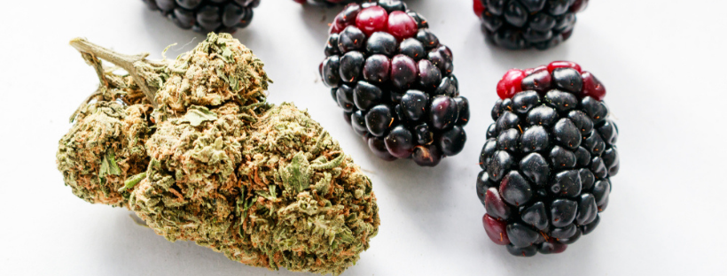 Blackberry Kush Blackberry Kush