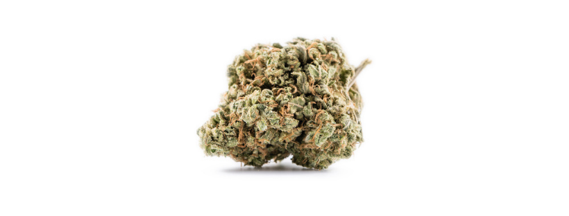 Grape Skunk Grape Skunk