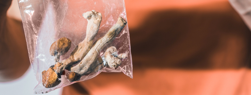 Storing Your Dried Mushrooms