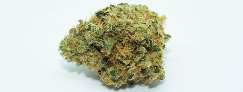 Sunset Sherbet Sunset Sherbet