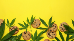 Common Mistakes When Cooking Cannabis Edibles